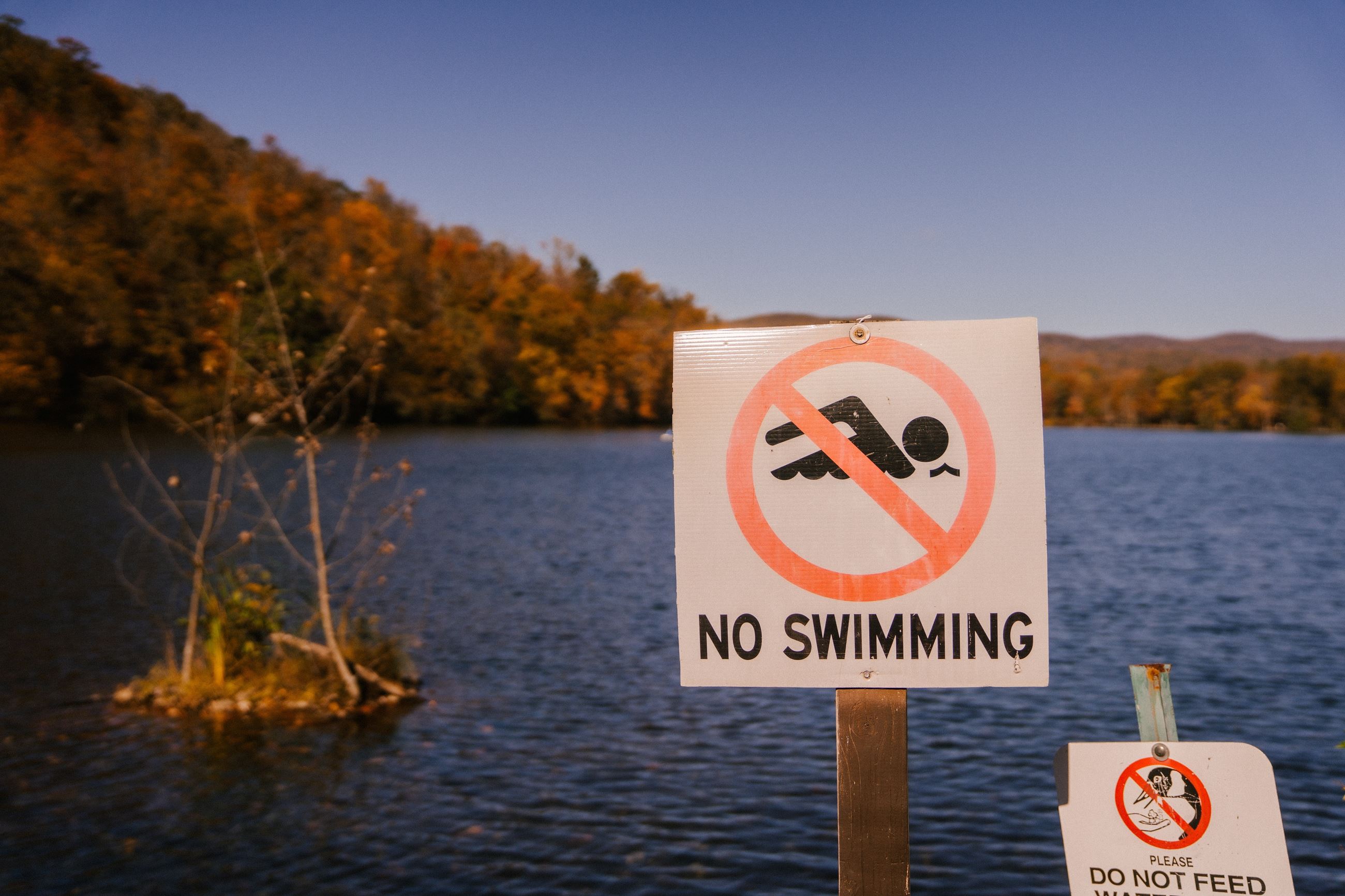 no swimming 