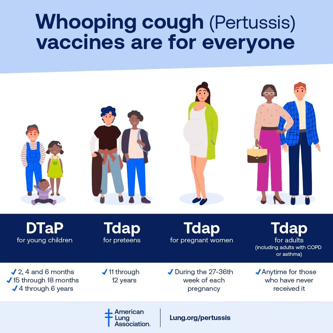Pertussis_IG-2