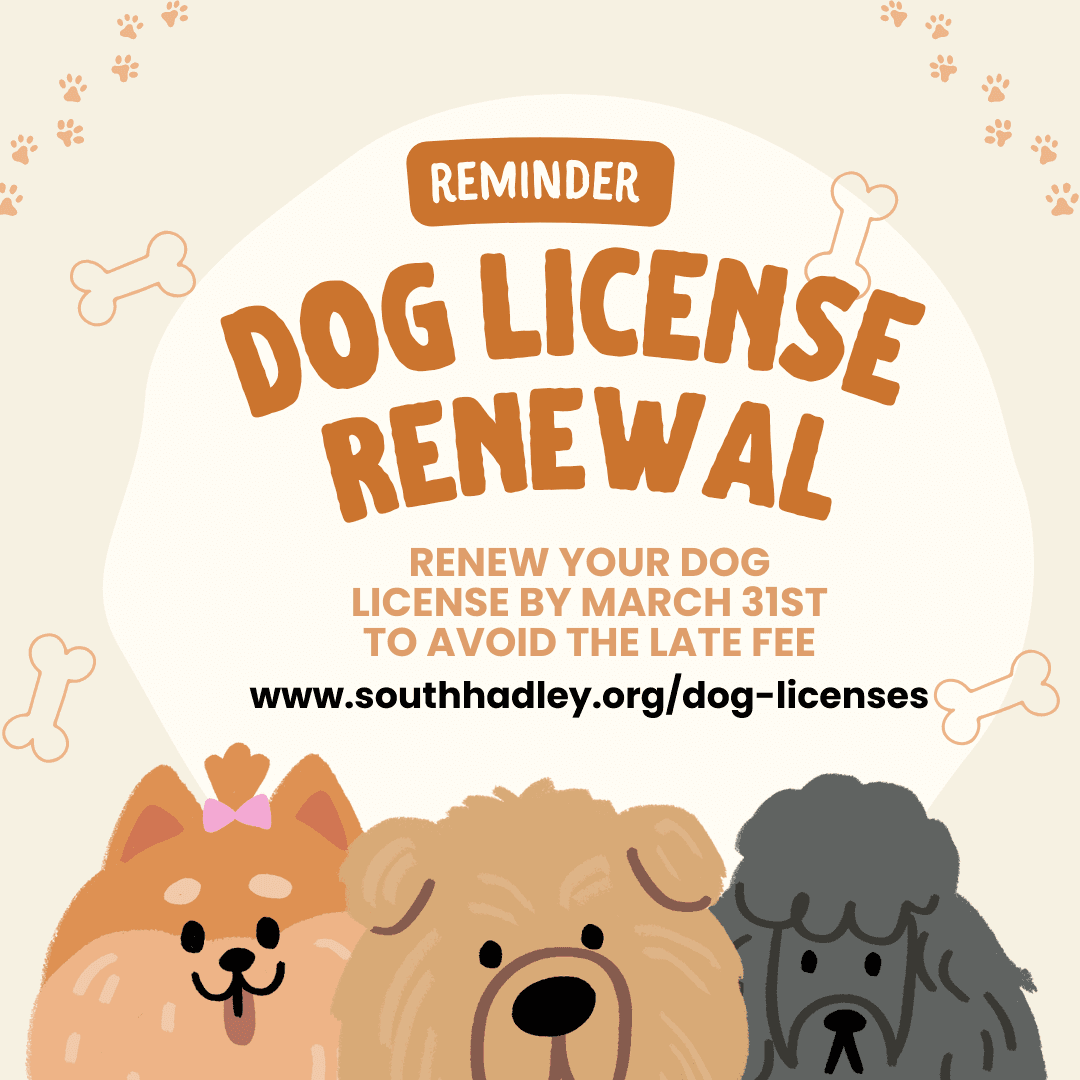 Dog License Renewal Reminder