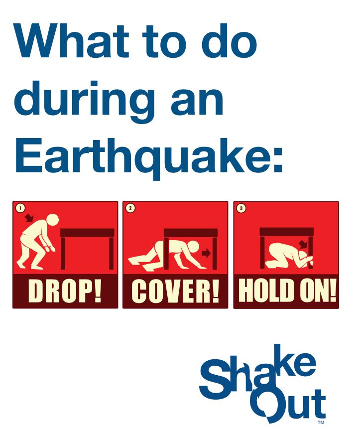 shakeout