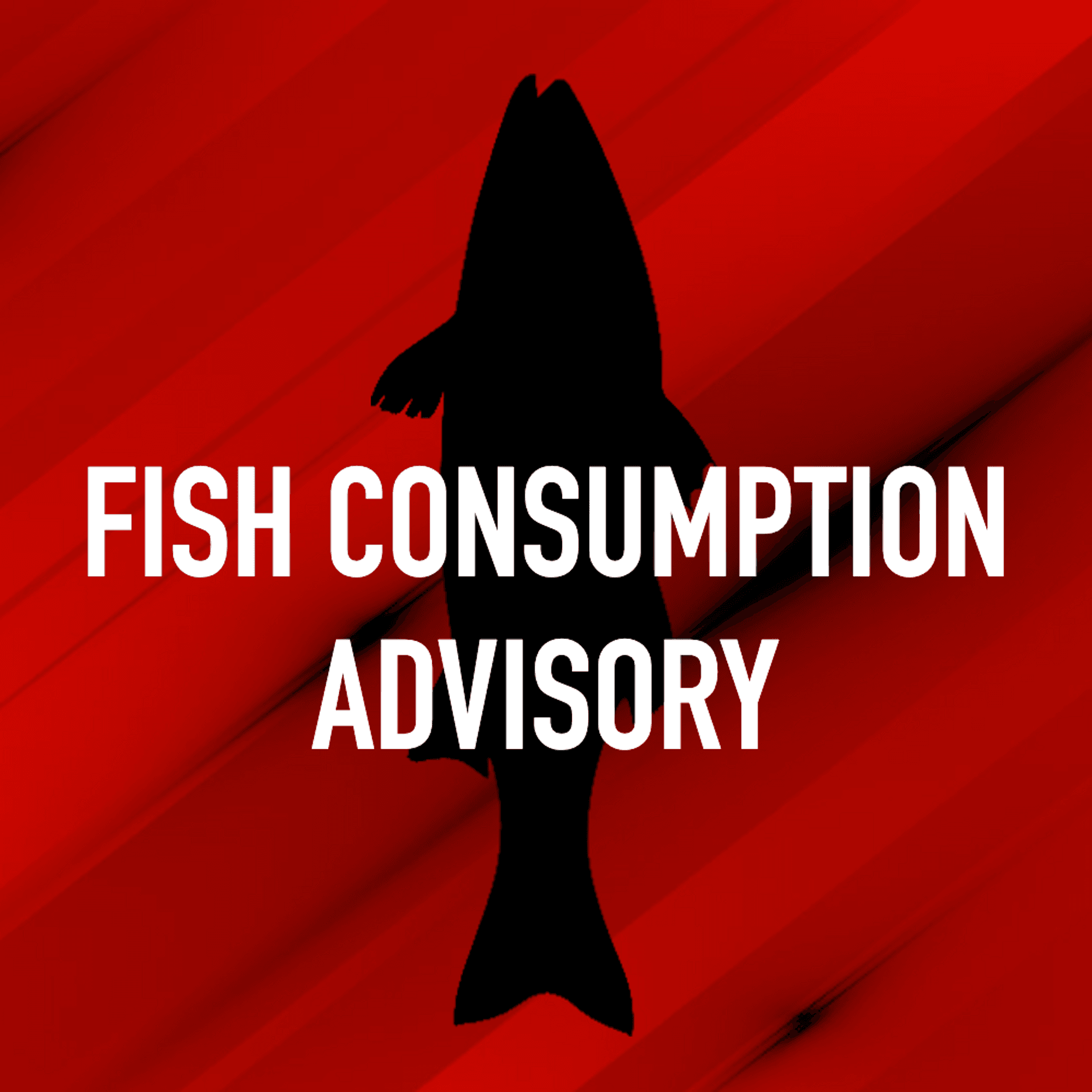 8178c789-b633-49db-8ed8-276d4f4c207c-full1x1_FISHCONSUMPTIONADVIOSRYWPMI