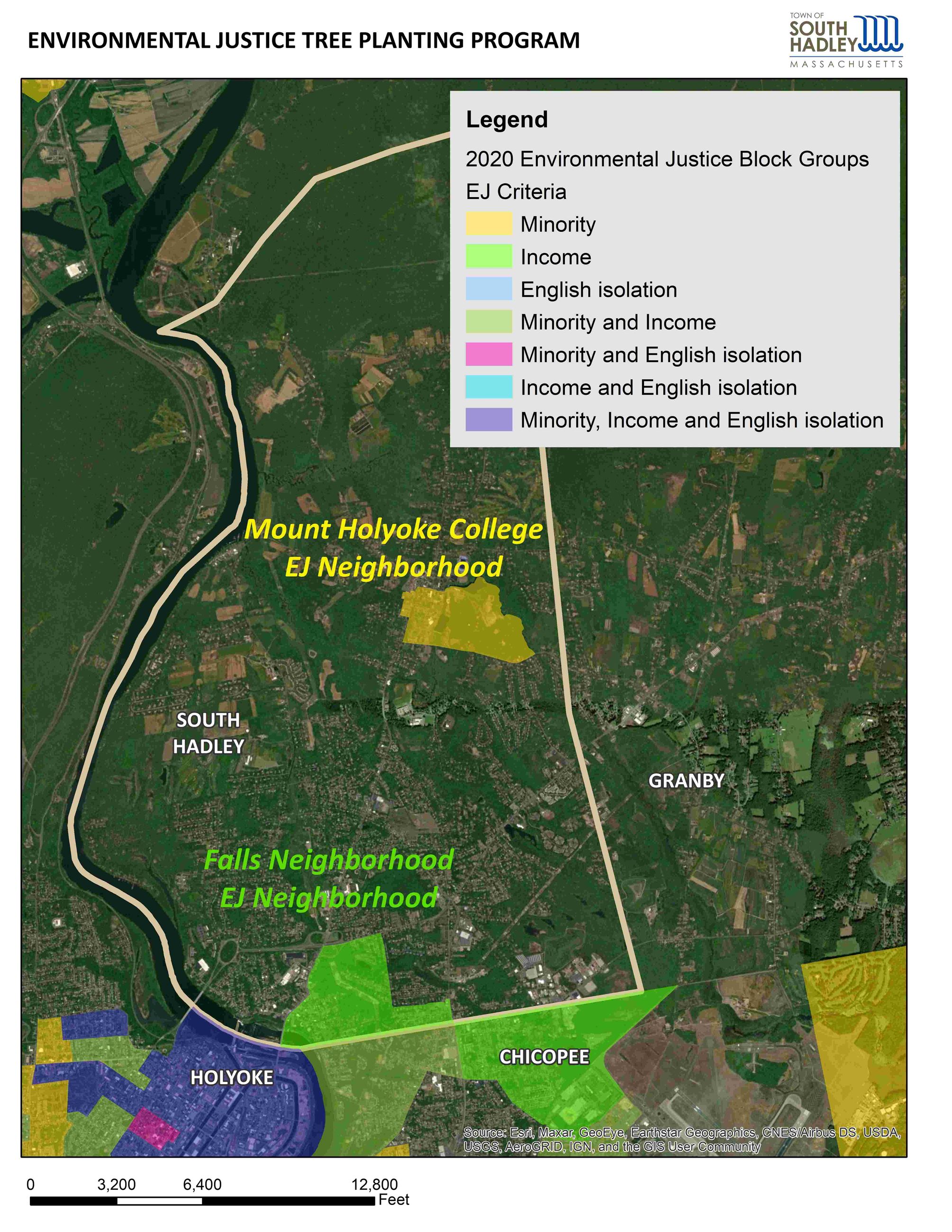 EJ Tree Planting Program