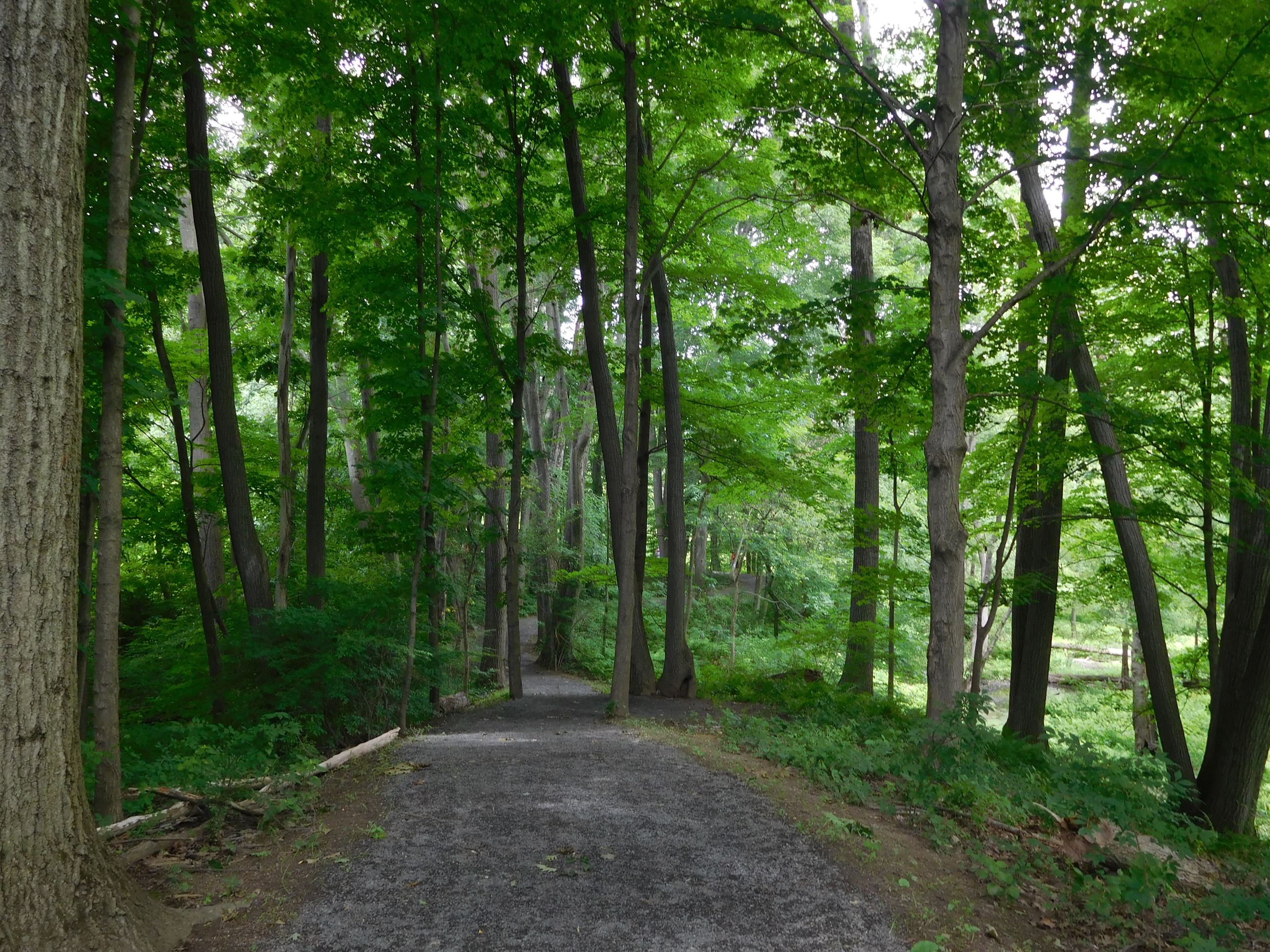 RiverToRangeTrail-9811