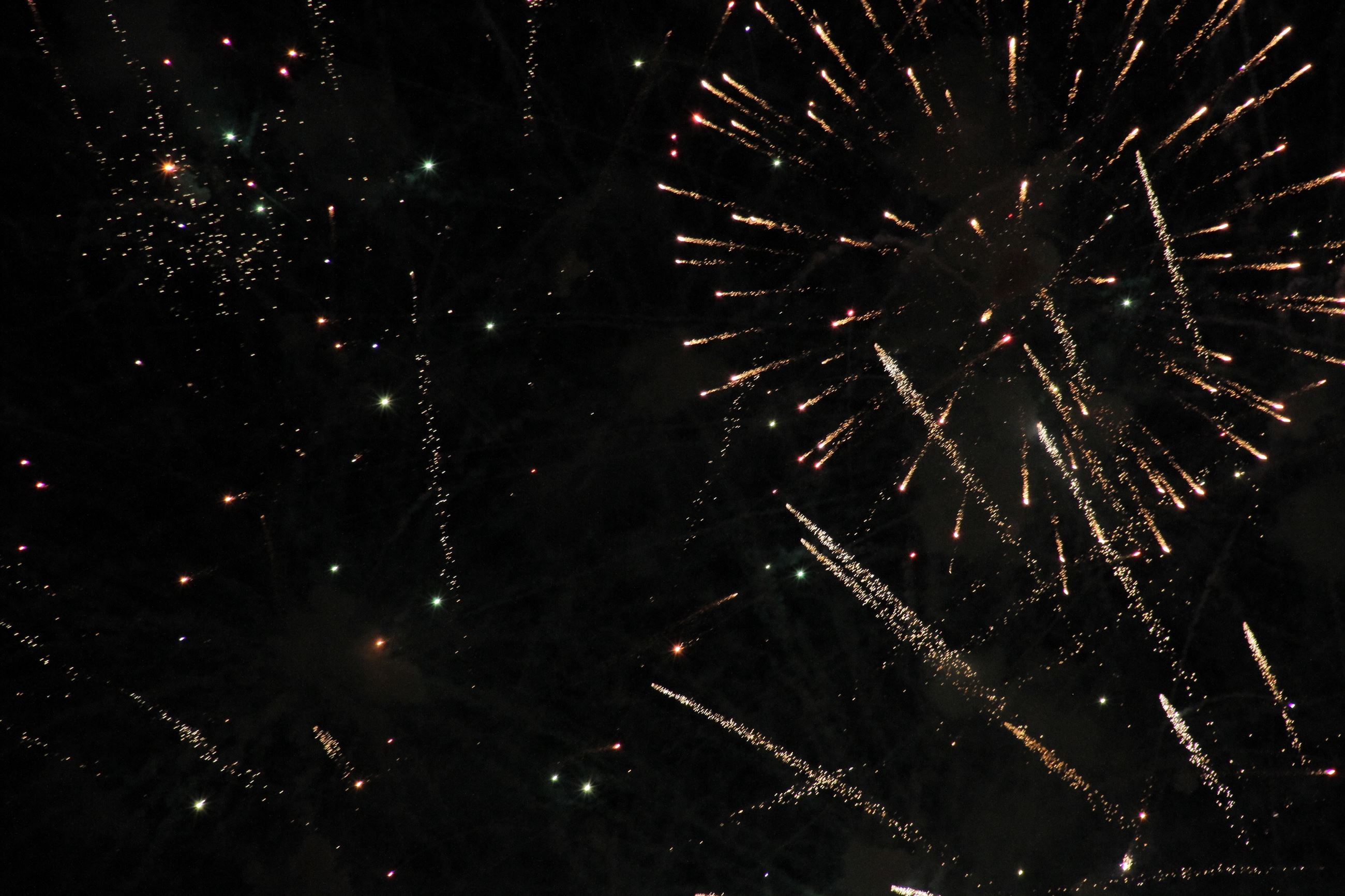 Bright fireworks burst across a dark sky