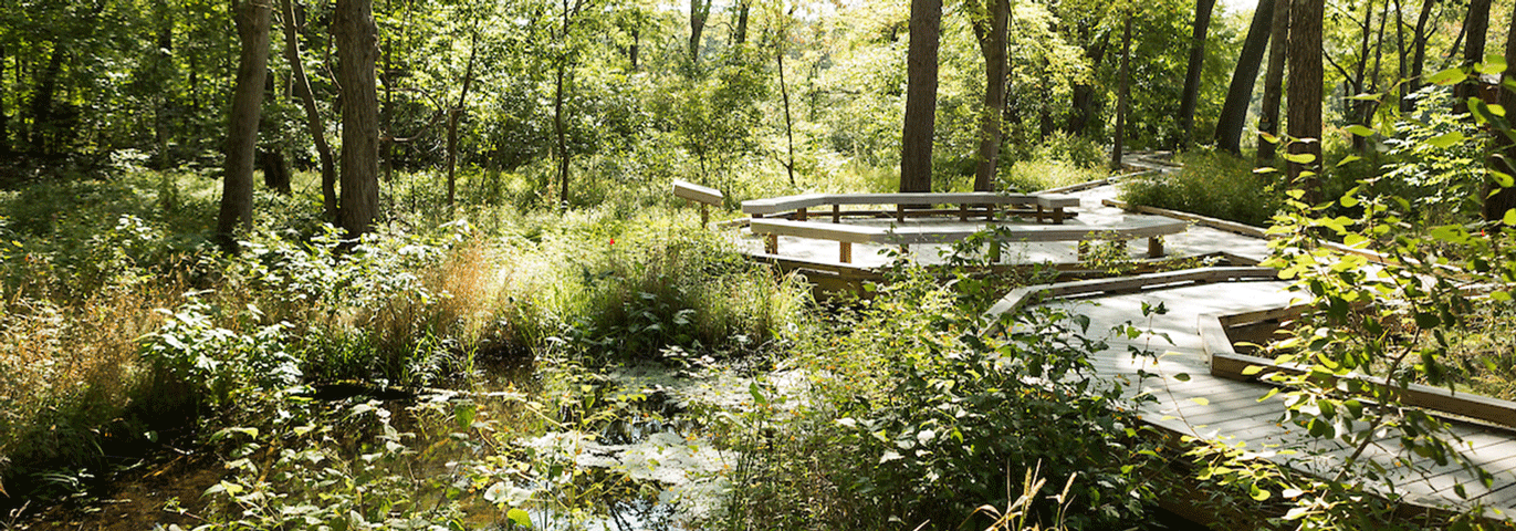 project-stream-banner