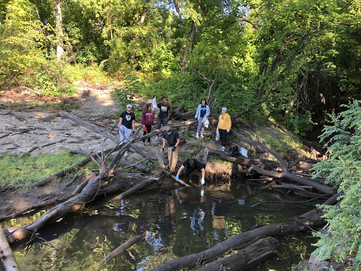 A group of students remove trash from a small river in the woods
