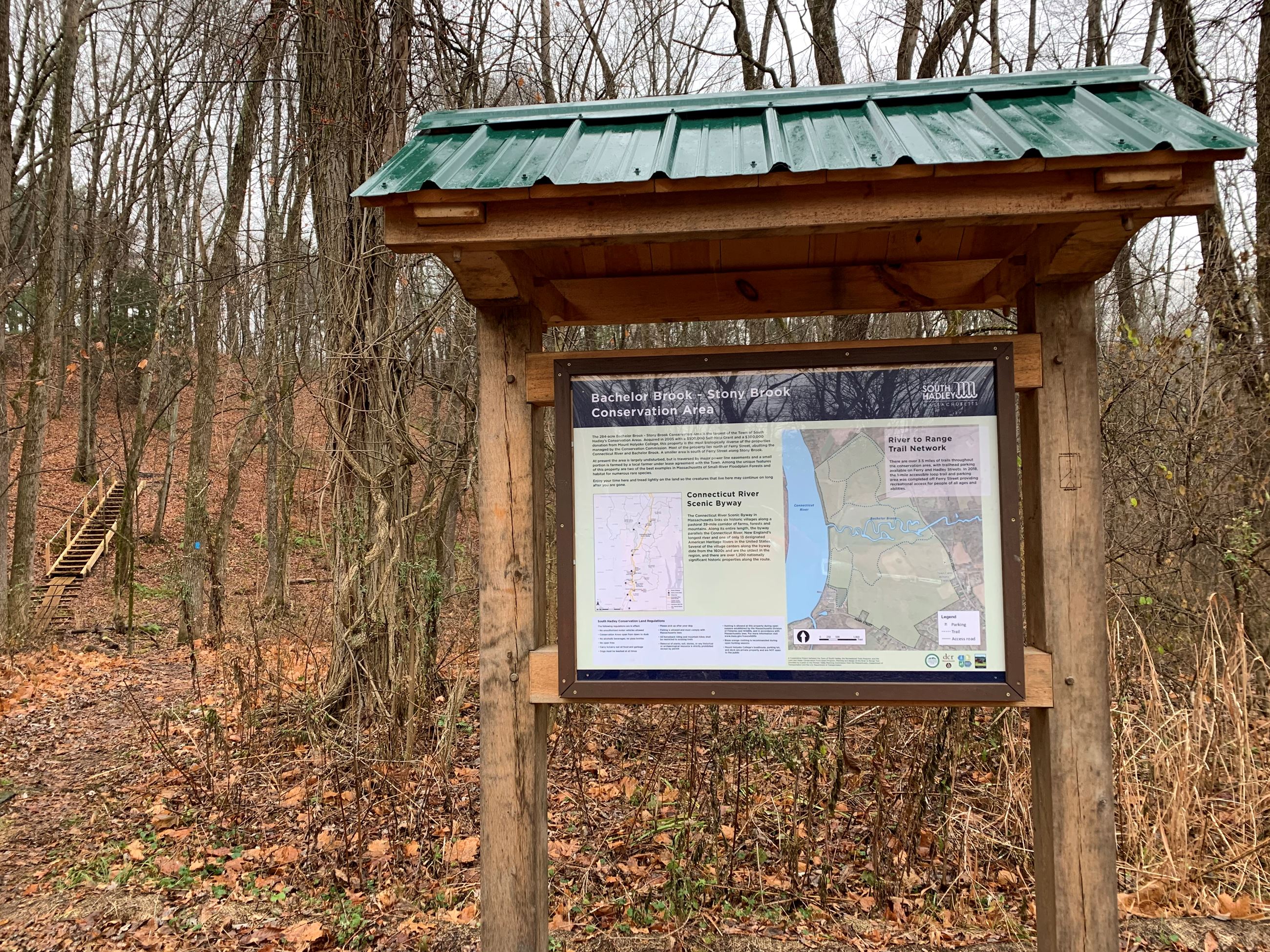 BachelorBrookForestTrail