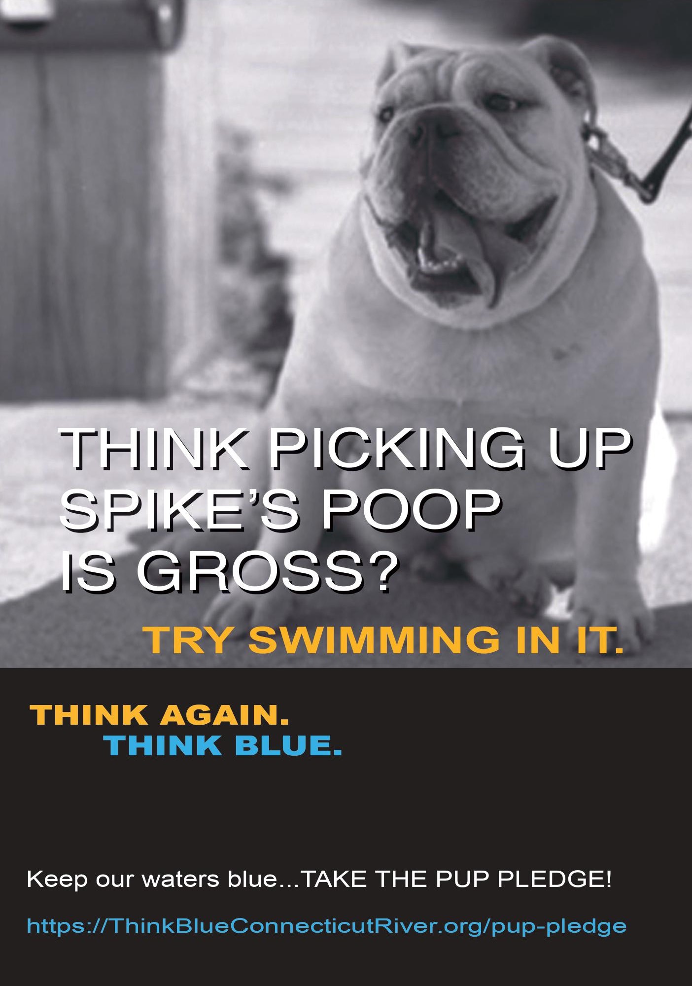 Pet Waste 1- Cropped