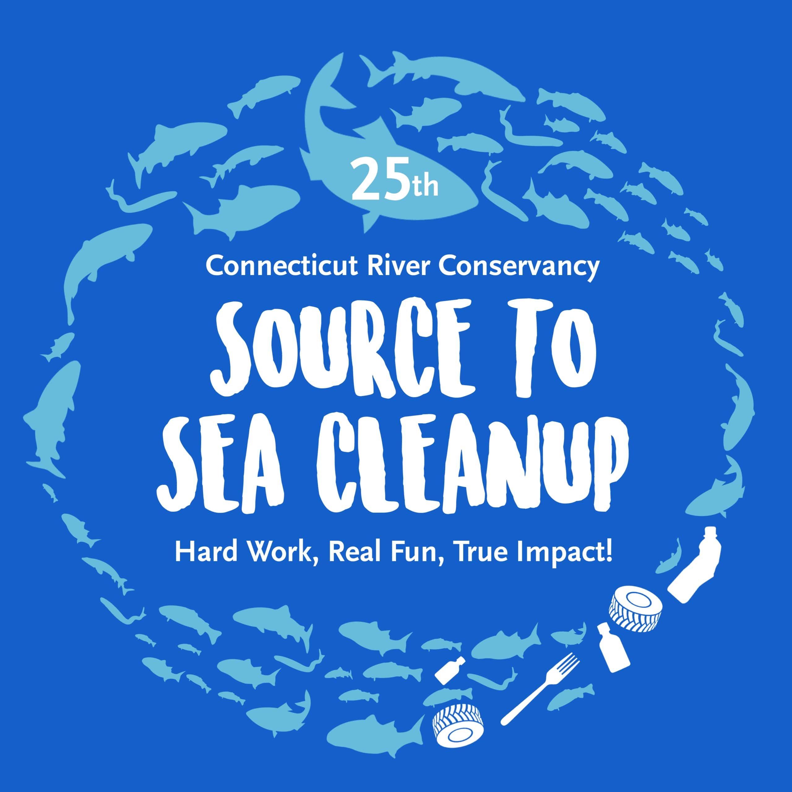 Source to Sea logo 2021