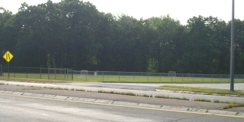 Plains School Fields